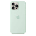 iPhone 16 Pro Max Silicone case